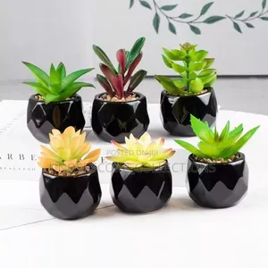 *Artificial Succulent Bonsai Plants With Pottery Pot
