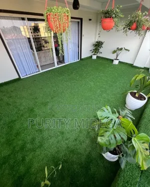 Green Turf Grass