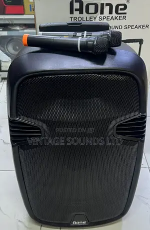 15 Inches Portable Powered Rechargeable Speaker and 2 Mics