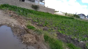 Residential Plots for Sale