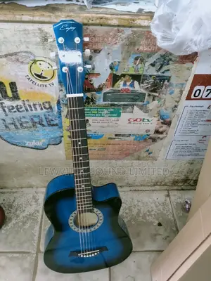 Enjoy Semi Acoustic Guitars
