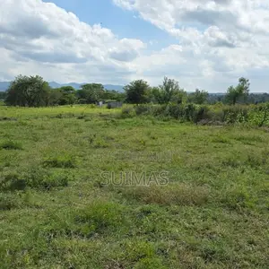 Residential Plots For Sale Along Kangundo Road – Ruai, Nairobi