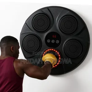 Wall Mounted Punch Boxing Trainer With Led Display.