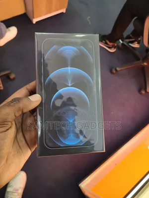 New Apple iPhone 12 Pro Max 256 GB Blue