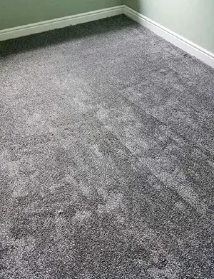 Durable Wall to Wall Grey Carpet