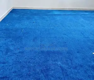 Blue Delta Wall to Wall Office/Church Carpet
