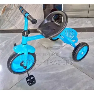 Tricycle Kids Tricycle
