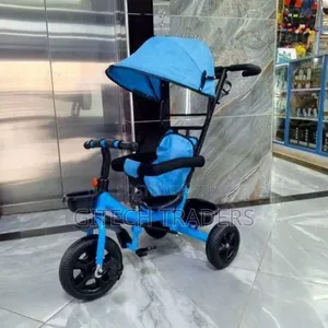 Kids Tricycle With Canopy