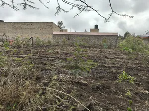 Commercial Quarter Acre Plot in Olkeri, Ngong 3rd Row From Tarmac