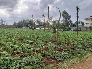Residential Plots Near Kirigiti Kiambu