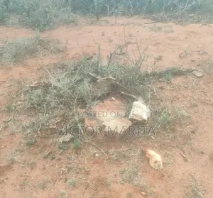 Prime 13 Acres Land Touching Namanga Road
