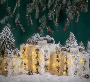 A Set of 3 Snowflocked Lighted Christmas Gift Boxes.