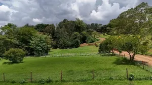 54 Fully Serviced Quater Acre Plots for Sale in Ngong Masai Road