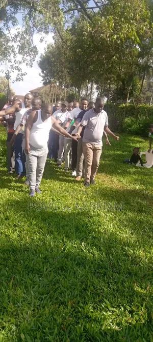 Team Building Facilitation