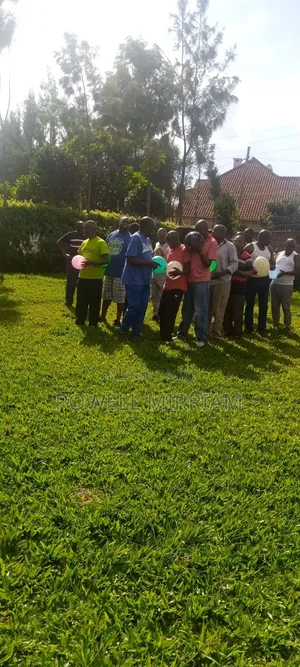 Team Building Facilitation