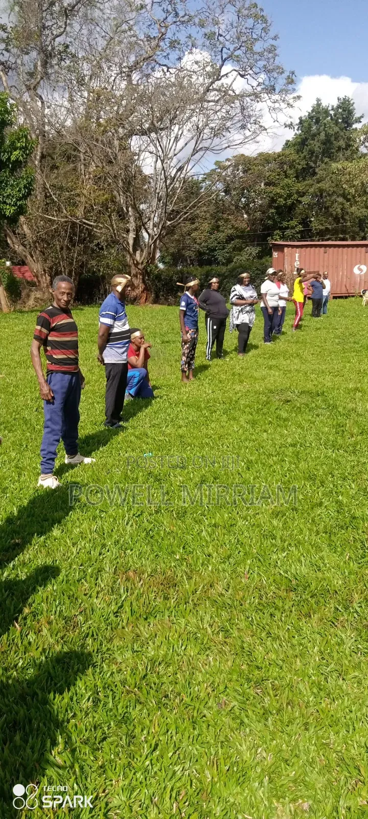Team Building Facilitation