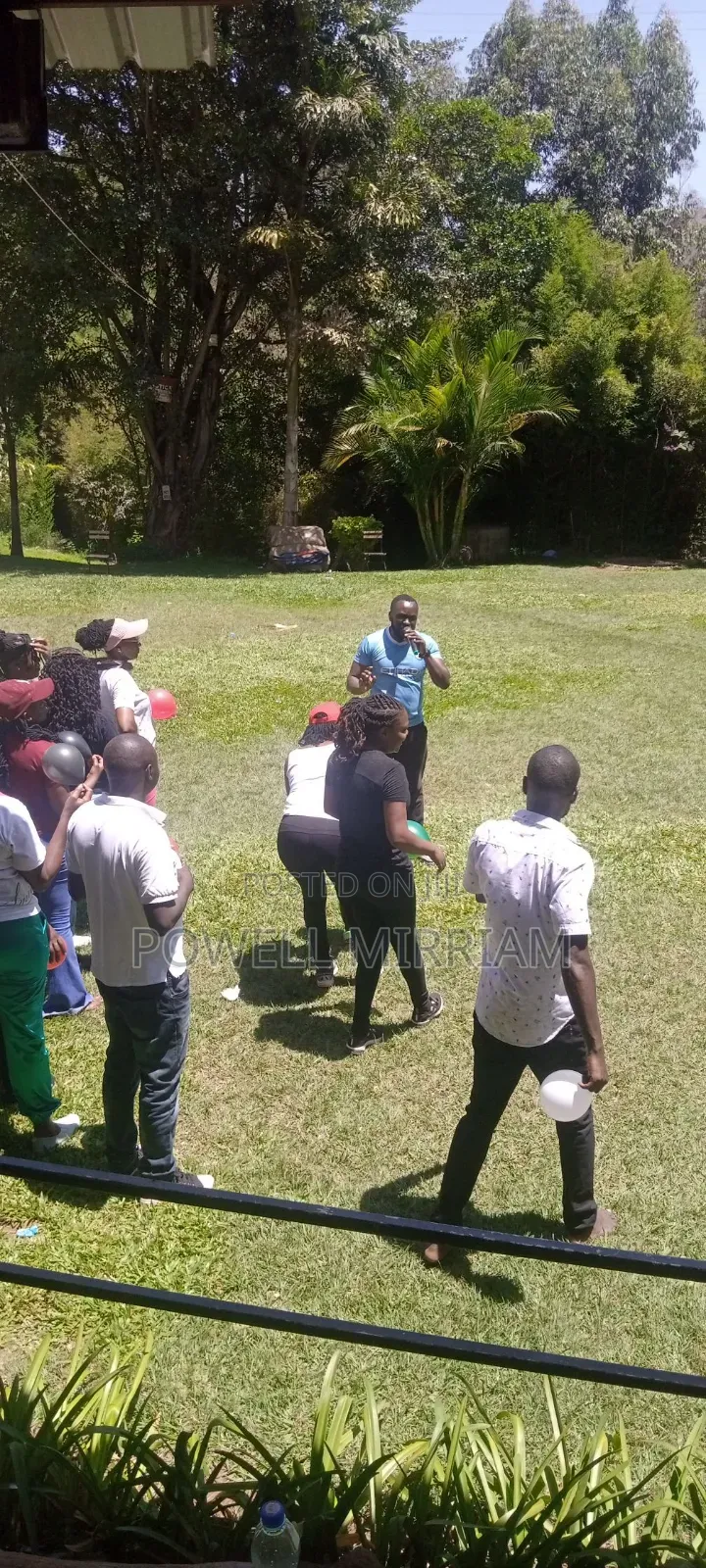 Team Building Facilitation