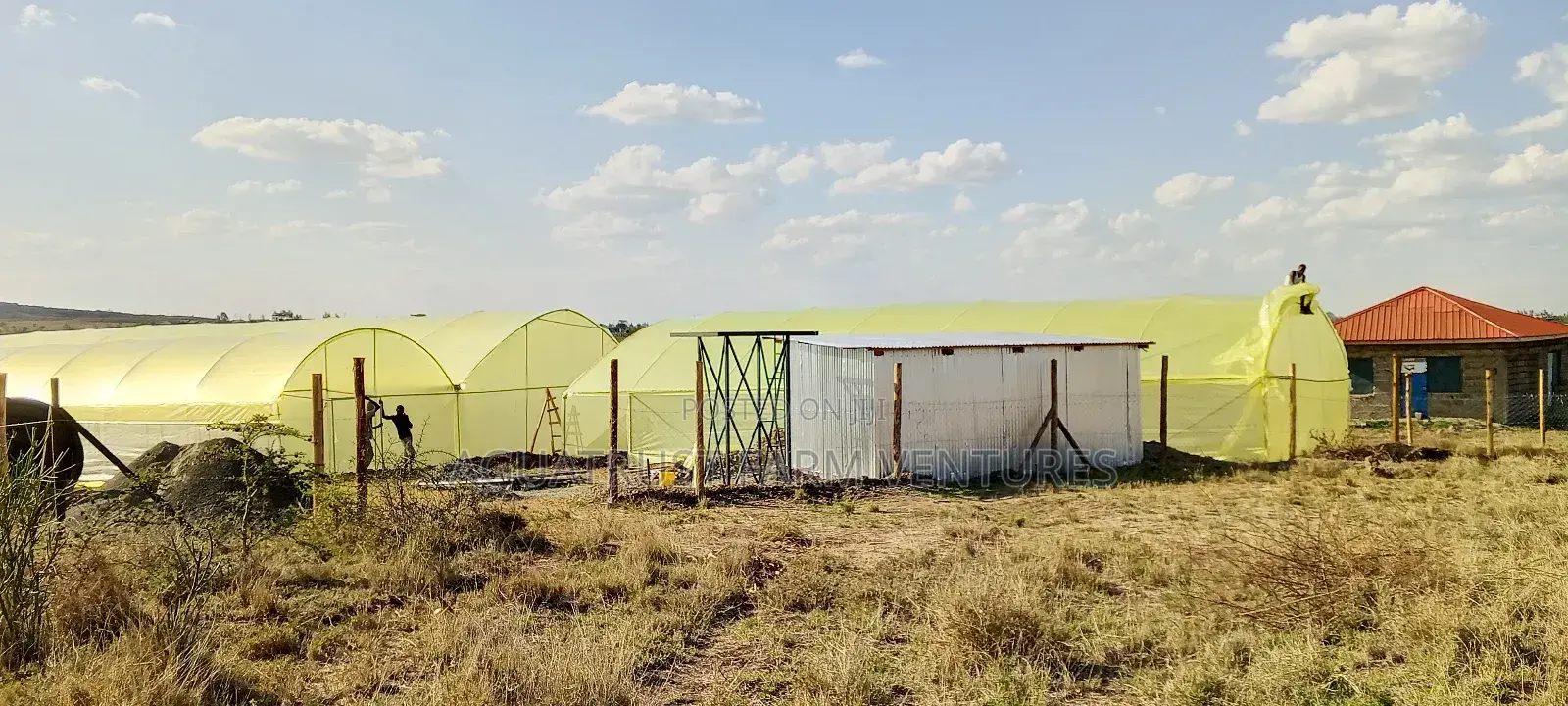 Greenhouse Installation