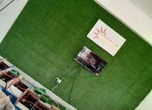 10mm Wall Ascents Green Artificial Grass Carpet