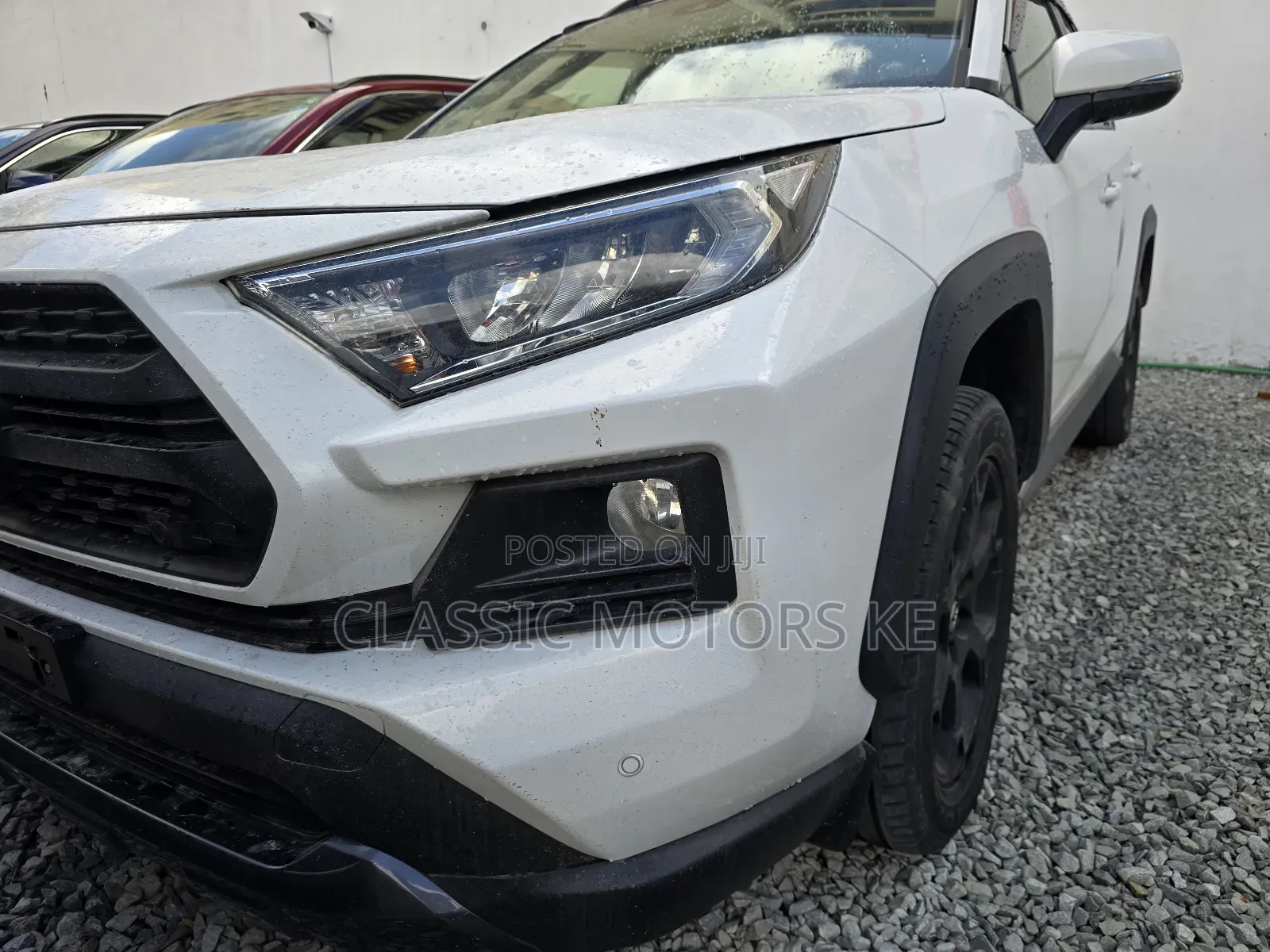 Toyota RAV4 Adventure 2019 White