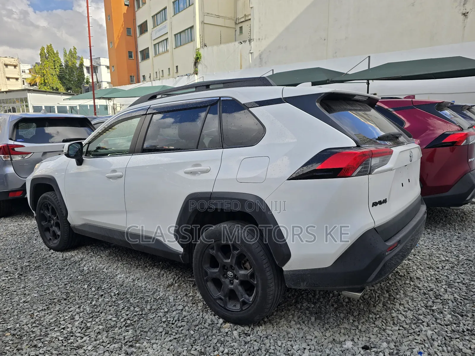 Toyota RAV4 Adventure 2019 White