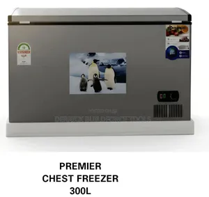 300l Premier Chest Freezer