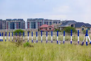 Syokimau-Katani 50 by 100 Plots Ww