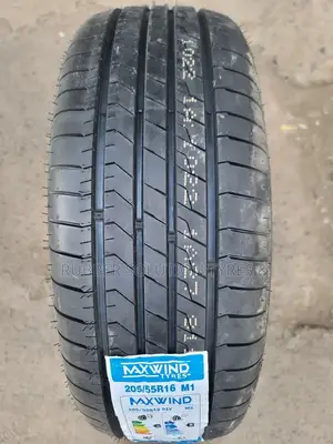 205/55r16 Maxwind Tires