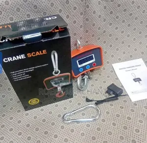 Commercial Crane Scale/500kgs Digital Crane Scale