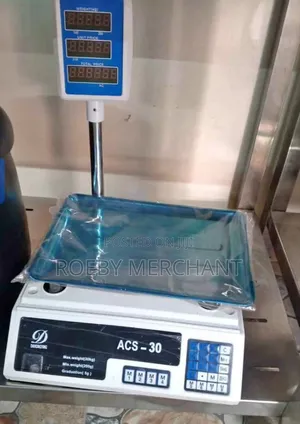 Acs 30 Digital Weighing Machine/Weighing Scale 30kg Acs 30