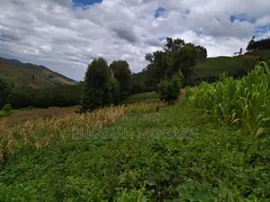 2-Acre Titled Fertile Land in Kiambogo (Nakuru) for Sale