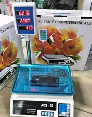 Acs 30/30kgs Digital Weighing Butchery Scale