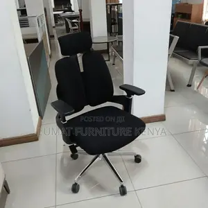 Spinecare Orthopedic Mesh Chair