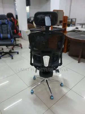 Ergonomic Backrest