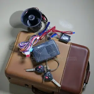 Complete Car Security System With Remote Controls and Siren