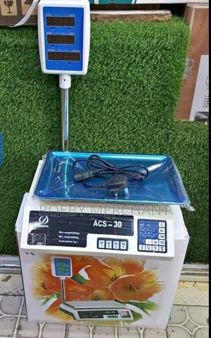 Accurate Price Computing Scale/Acs 30 Scale