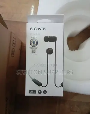 Sony Wi-C100 Wireless in-Ear Headphones
