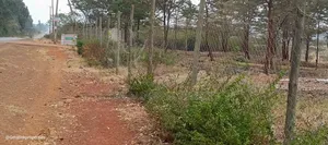 Thika Road Tora Prime 50×100 Plot