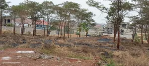 Thika Road Tora Prime 50×100 Plot