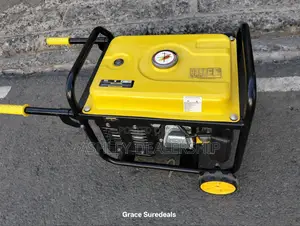 4.5 Kva Lenhard Golf Generator