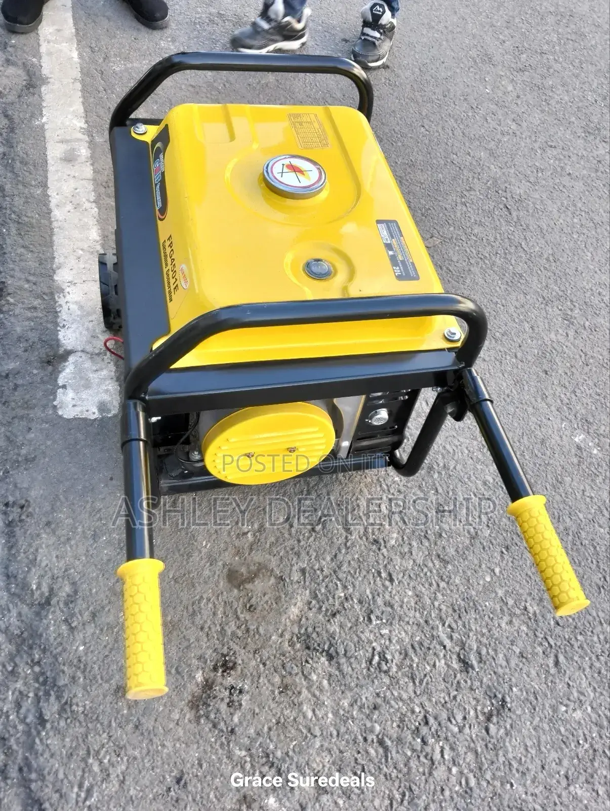 4.5 Kva Lenhard Golf Generator
