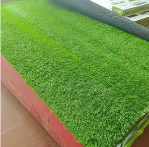 Artificial Green Carpet Available in Odeon, Tsavo Road