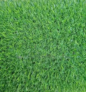 All Weather Artificial Grass Carpet in Tsavo Road, Nairobi