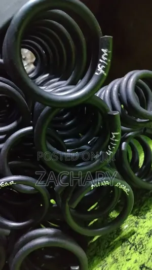 Ex Japan Wish Heavy Duty Coil Springs