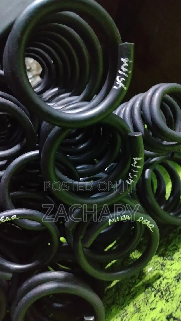 Ex Japan Wish Heavy Duty Coil Springs