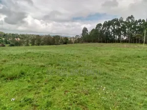 13.5 Acre Land for Sale in Karen