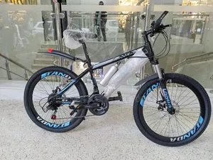 Tanda Size 24 Racing Bike