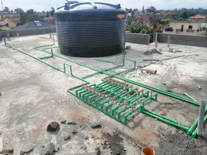 Professional Plumber