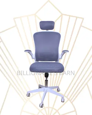 Premium Executive Ergonomic Frame Steel | Comfort Meets Style