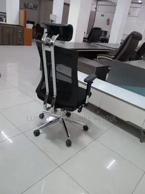 Backrelief Executive Chair